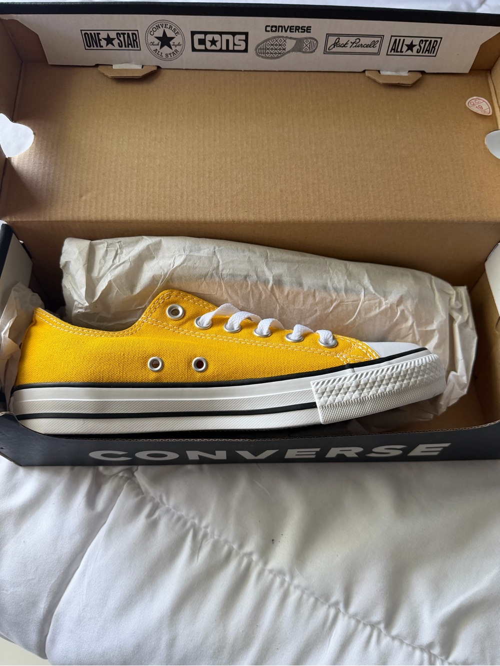 Converse Low Top Canvas Sneaker in Yellow with White Accents